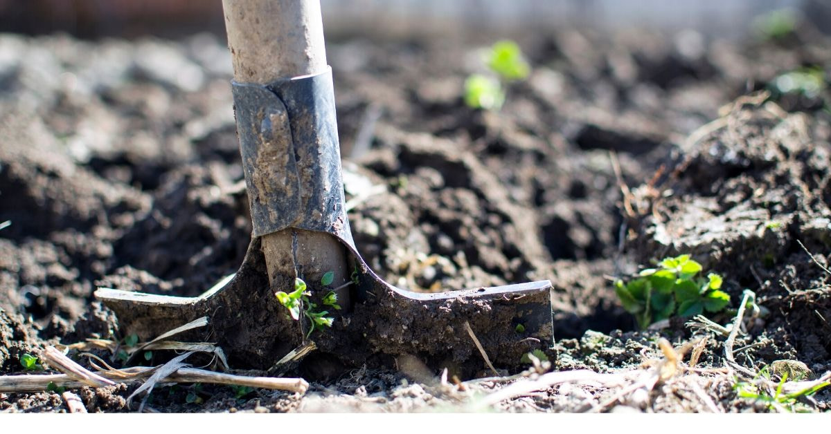 Gardening Injuries Alfreton Physiotherapy Derbyshire